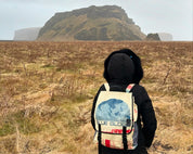 travel backpack