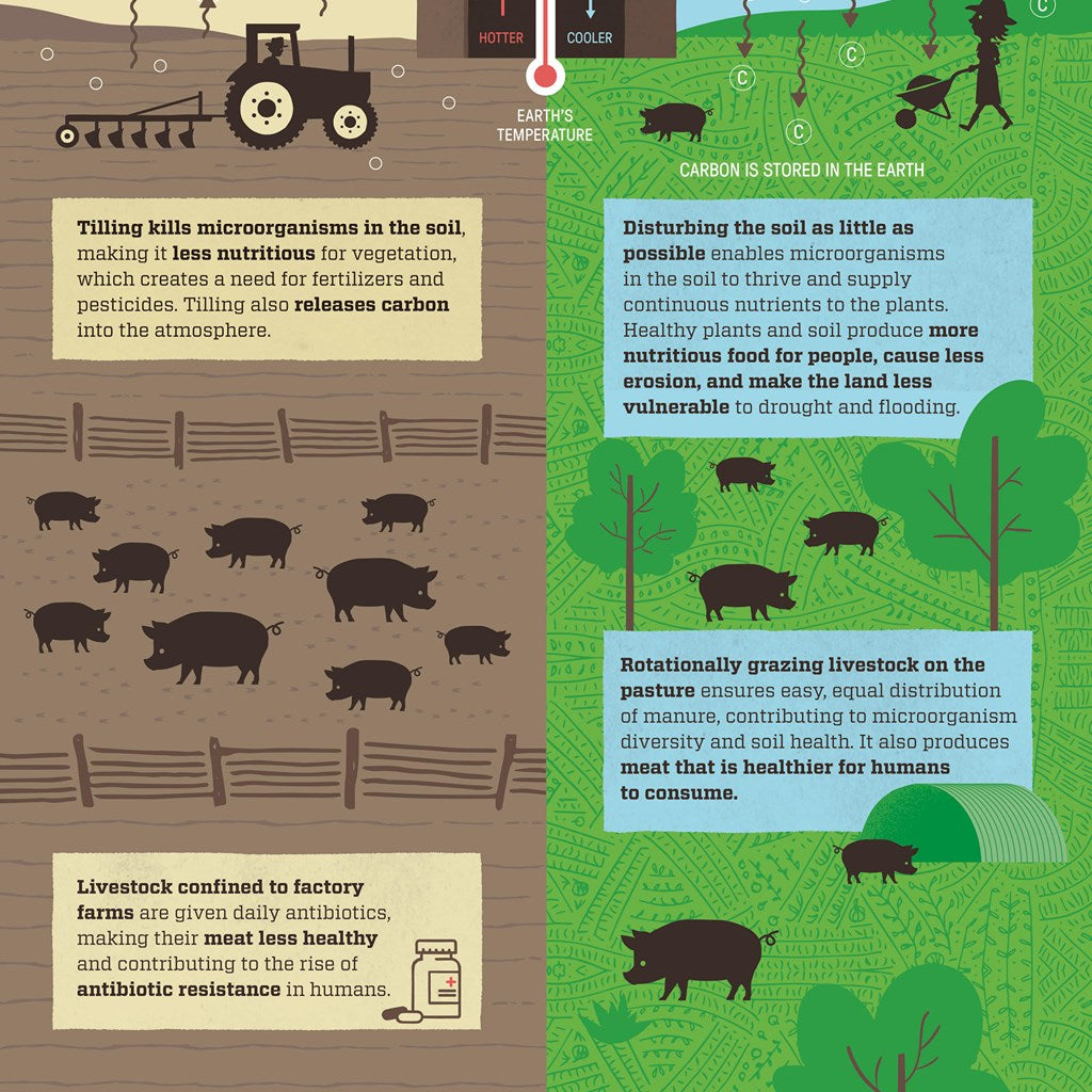 Regenerative Agriculture