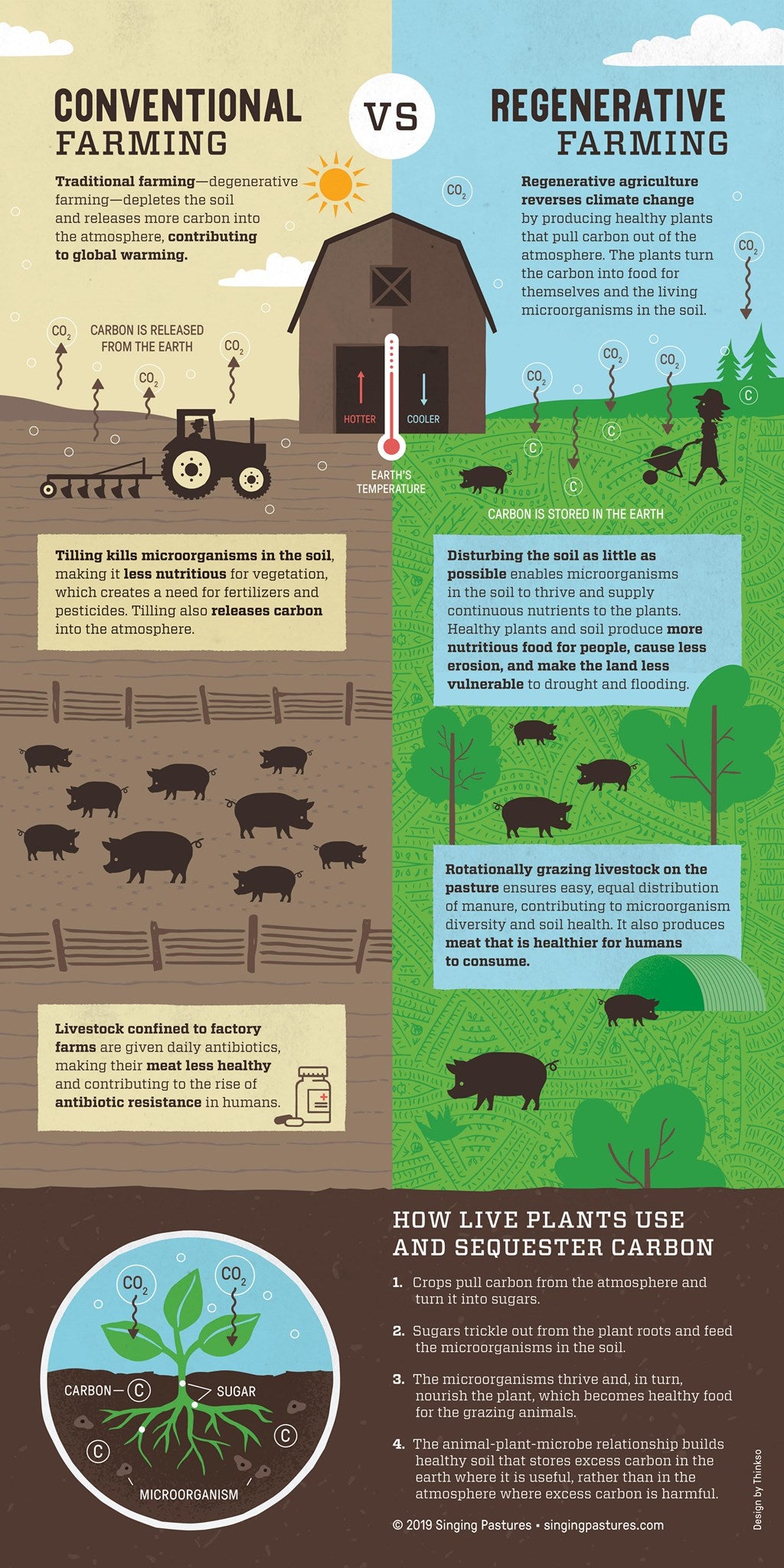Regenerative Agriculture