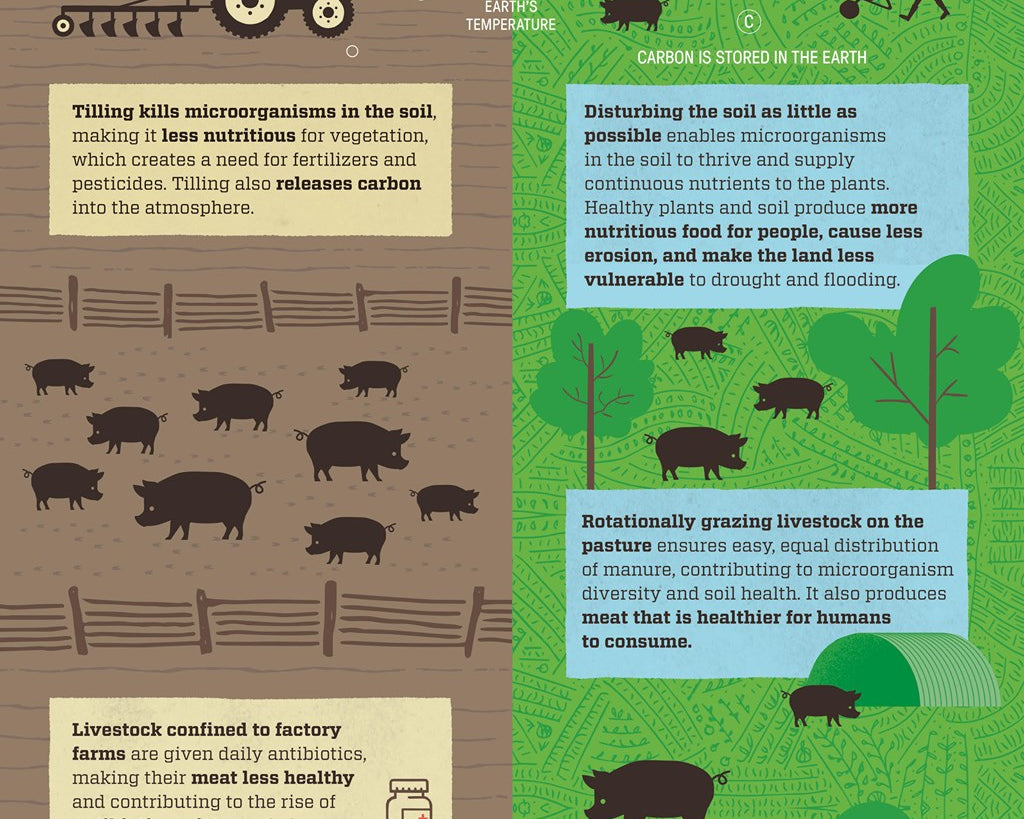 Regenerative Agriculture