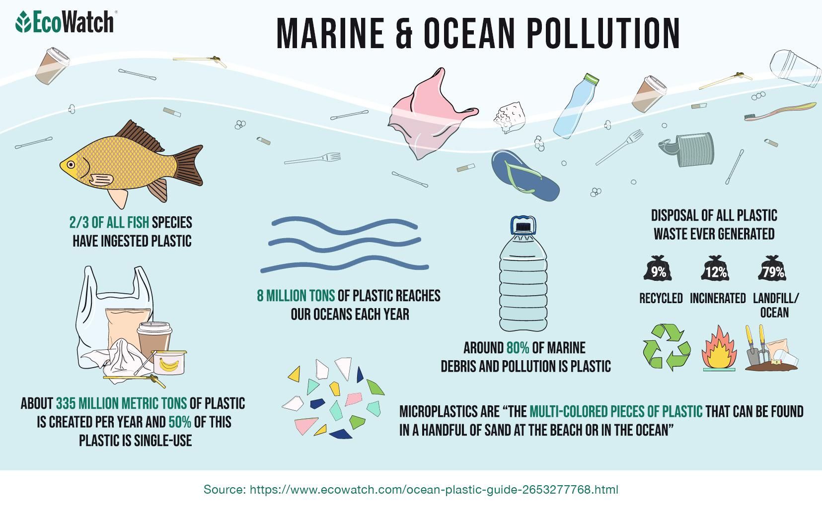 Ocean Plastic: What You Need to Know. By Audrey Nakagawa