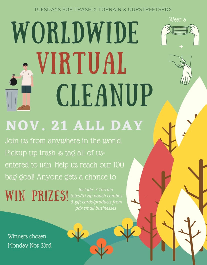 Worldwide Virtual Cleanup