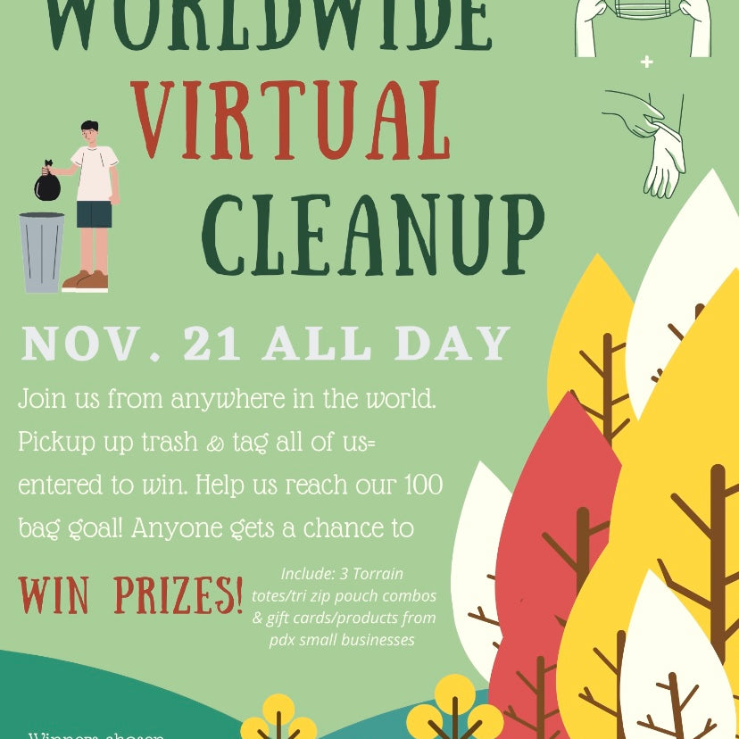 Worldwide Virtual Cleanup