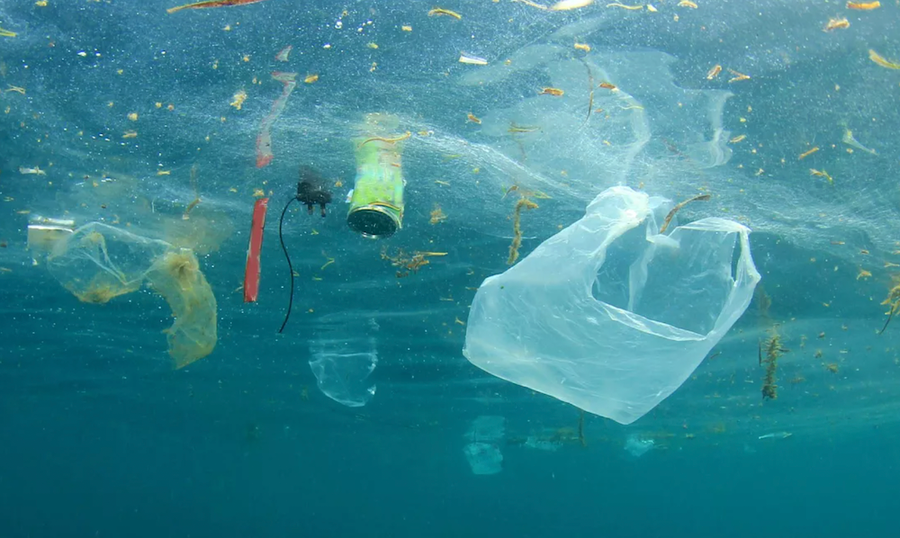 Microbes Learning to Eat Our Plastic Problem