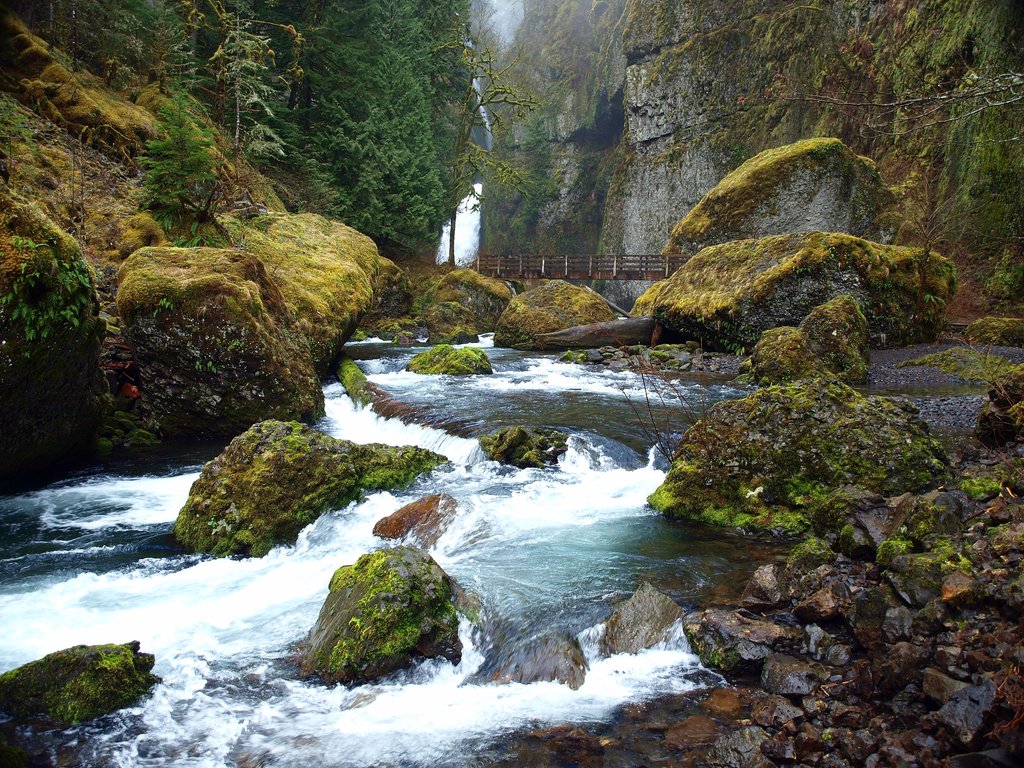 TORRAIN Recycled Bags: Photo of rushing river in the Pacific Northwest