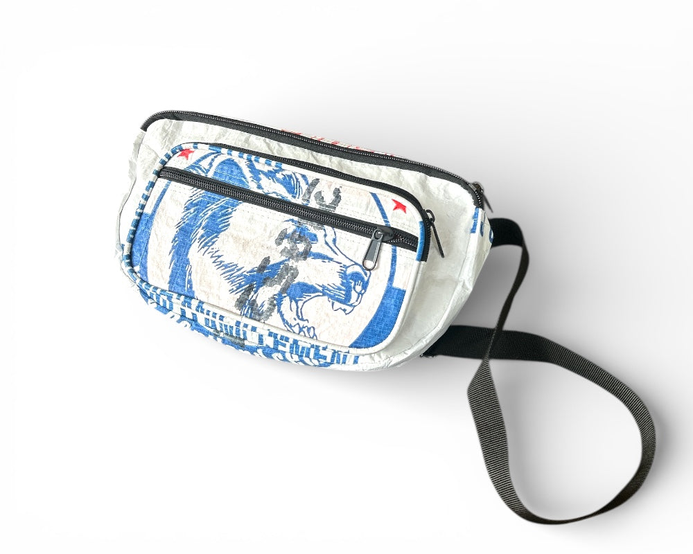 Moon Bag
