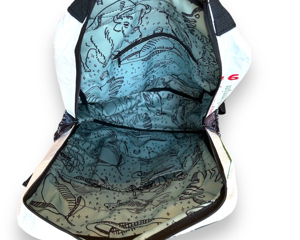 roomy backpack for everyday