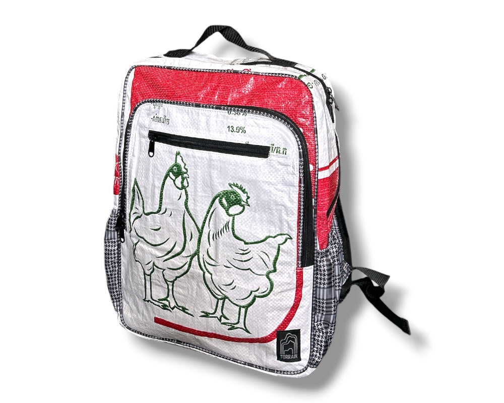 lightweight unique upcycled carryon backpack