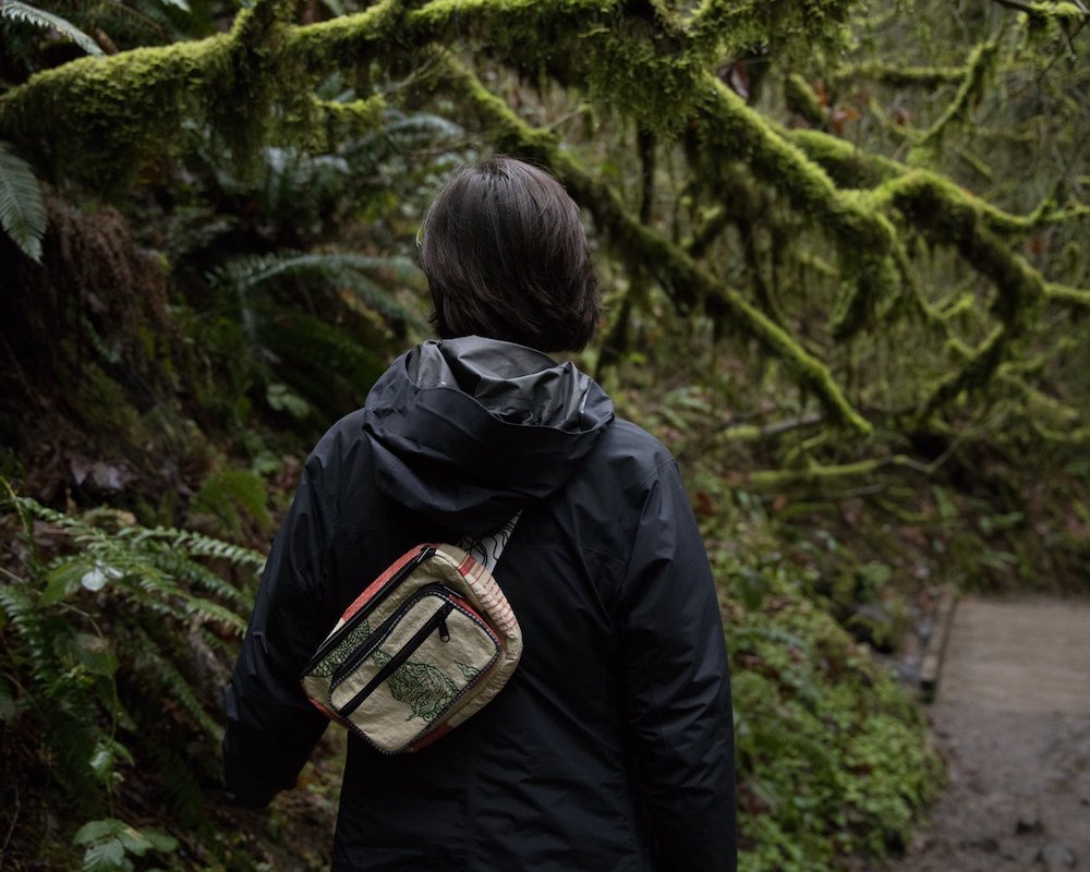 travel fanny pack